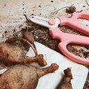 Ver imagem 2 de Tesoura Japonesa Florista Ikebana e Ikenobo Sakagen Rosa Pink Type F170 Ref.10352