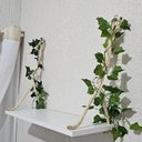 Ver imagem 1 de Prateleira Bebê, Safary Day By Day com Folhagens e Corda