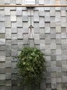 Ver imagem 4 de Gancho S Grande P/ Pendurar Plantas 30cm Kit 3 Peças