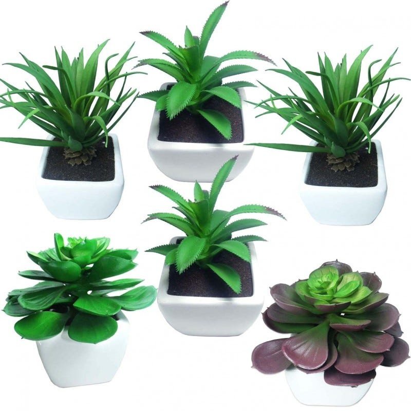Mini Suculentas Plantas Artificiais Decorativas com 6 Unid (Sh-2 Kit6) |  MadeiraMadeira
