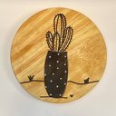 Ver imagem 1 de Placa Decorativa Coleção Cactos:cacto Poás