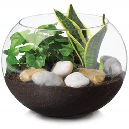 Vaso Aquario de Vidro Vaso Redondo 4,5 L - 3
