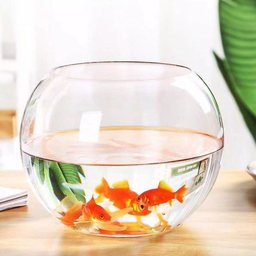 Vaso Aquario de Vidro Vaso Redondo 4,5 L - 4