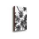 Ver imagem 7 de Quadro Decorativo Coqueiros Preto e Branco 60x40cm MDF