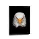 Ver imagem 4 de Quadro Visão de Águia -- Br Artes