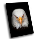 Ver imagem 1 de Quadro Visão de Águia -- Br Artes