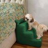 Escada Pet para Cães e Gatos Teddy 3 Degraus Verde - 1