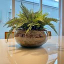 Ver imagem 1 de Arranjo Completo de Samambaia Centro de Mesa Grande Vaso de Vidro Decore Fácil Shop