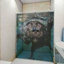 Ver imagem 1 de Adesivo de Box Cachorro Mergulhando