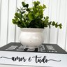 Decoração Duas Peças Livro Caixa e Vaso Branco Granilite - 4