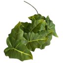 Ver imagem 5 de Kit 5 Plantas Decorativas Caladium Artificial Alta Qualidade