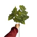 Ver imagem 3 de Kit 5 Plantas Decorativas Caladium Artificial Alta Qualidade