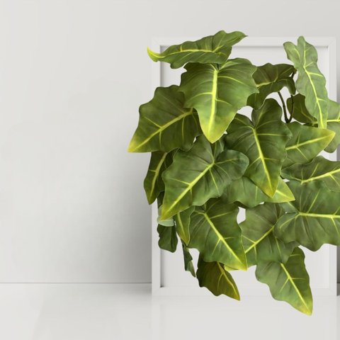 Kit 5 Plantas Decorativas Caladium Artificial Alta Qualidade