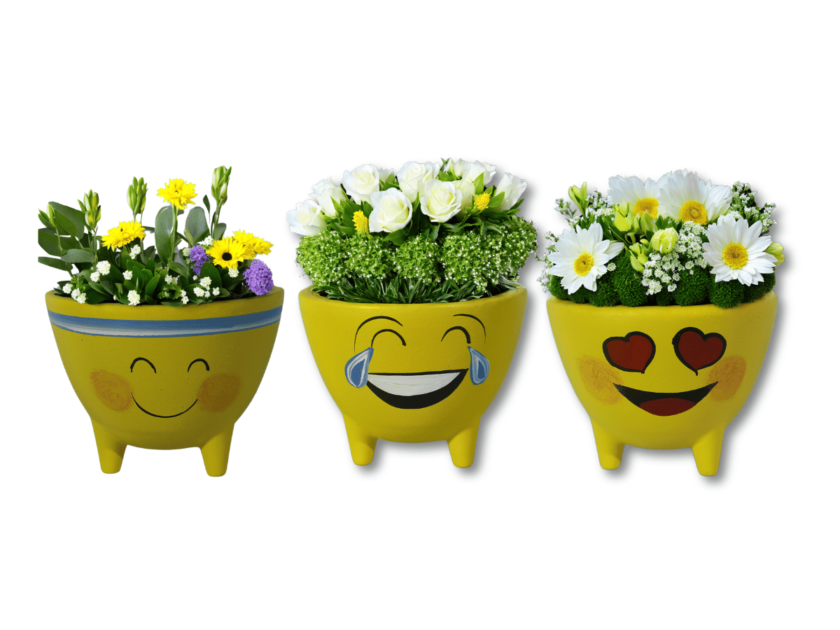 Vaso Cachepot Decoração Emoji Emoticon Tripe Coleção 11un - 2