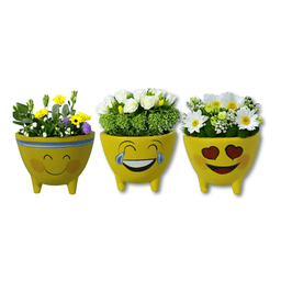 Vaso Cachepot Decoração Emoji Emoticon Tripe Coleção 11un - 2