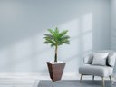 Ver imagem 2 de Planta Artificial Árvore Palmeira Real Toque 1,2m kit + Vaso Trapezio D. Grafiato Marrom 40cm