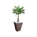 Ver imagem 1 de Planta Artificial Árvore Palmeira Real Toque 1,2m kit + Vaso Trapezio D. Grafiato Marrom 40cm