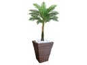 Ver imagem 1 de Planta Artificial Árvore Palmeira Real Toque 1,2m kit + Vaso Trapezio D. Grafiato Marrom 40cm