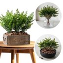 Ver imagem 6 de Kit 8 Folhas de Samambaia Artificial 35cm Mini Buquê com Aspecto Natural para Decoração