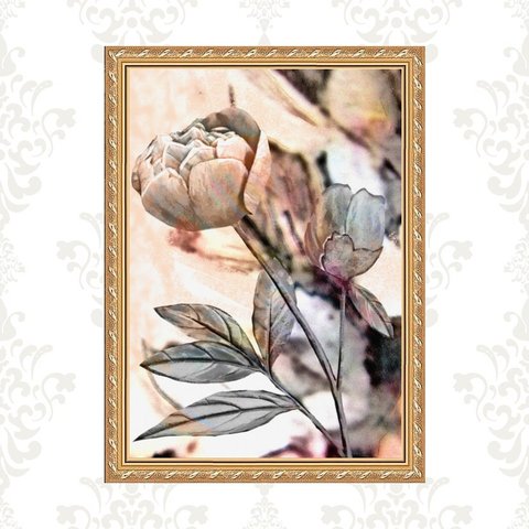 Quadro Moldura Dourada Flor Rosada 33x24cm:com Acetato