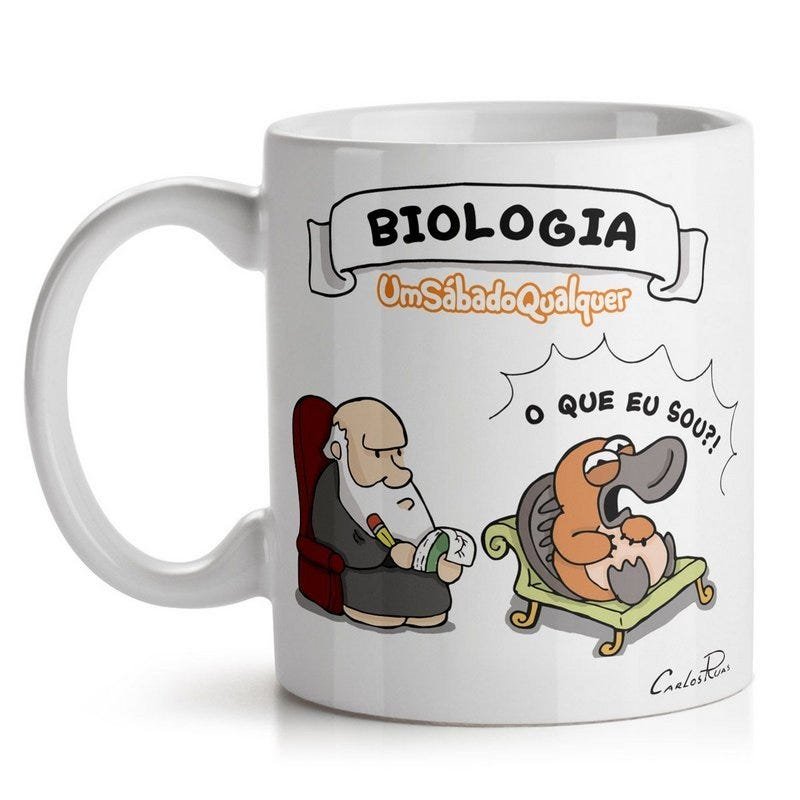 Caneca Flork Professora De Biologia Flork Meme