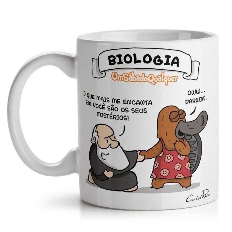 Caneca Flork Professora De Biologia Flork Meme