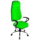 Ver imagem 1 de Cadeira Presidente com Espaldar Alto Linha Blenda Verde