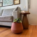 Ver imagem 2 de Vaso Inteligente Brota Cuia M Autoirrigável Decoração Planta:terracota