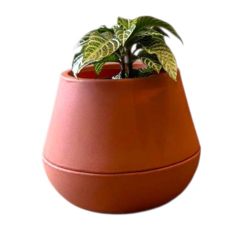 Vaso Inteligente Brota Cuia M Autoirrigável Decoração Planta:terracota