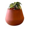 Vaso Inteligente Brota Cuia M Autoirrigável Decoração Planta:terracota - 1