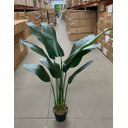 Ver imagem 5 de Bananeira Permanente para Decoração Planta Realista 1.20m, Planta Decorativa para Casa e Eventos.