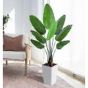Ver imagem 1 de Bananeira Permanente para Decoração Planta Realista 1.20m, Planta Decorativa para Casa e Eventos.