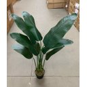 Ver imagem 6 de Bananeira Permanente para Decoração Planta Realista 1.20m, Planta Decorativa para Casa e Eventos.