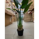 Ver imagem 7 de Bananeira Permanente para Decoração Planta Realista 1.20m, Planta Decorativa para Casa e Eventos.