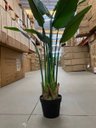 Ver imagem 7 de Bananeira Permanente para Decoração Planta Realista 1.20m, Planta Decorativa para Casa e Eventos.