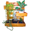 Ver imagem 1 de Floreira de Parede em Madeira Pinus, Cambará e Outras. Envernizado. Suporte Vertical Tipo Trelica