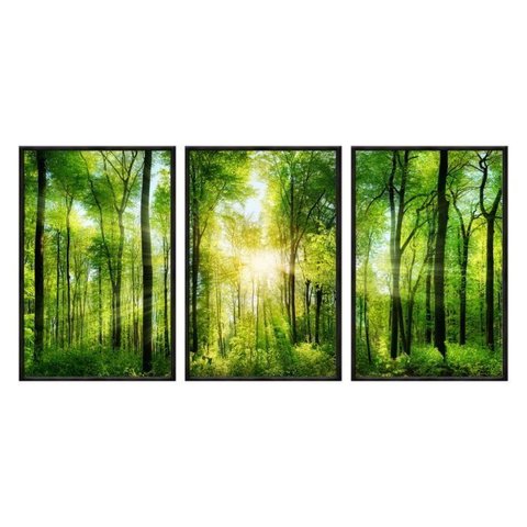 Kit 03 Quadros Decorativos - Bosque Raio de Sol Flnt011 - Vidro com Impressão Uv - 60x80cm