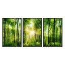 Ver imagem 1 de Kit 03 Quadros Decorativos - Bosque Raio de Sol Flnt011 - Vidro com Impressão Uv - 60x80cm