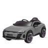 Carro Elétrico Infantil com Controle Remoto 12v Audi E-tron Sportback Cinza Música Luz de Led e Carr - 1