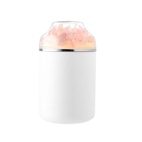 Umidificador de Ar Tudo em Caixa 0,3L Rosa Claro com Flores Preservadas UM004