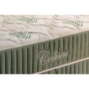 Ver imagem 6 de Colchão Queen Molas Ensacadas Masterpocket Coliseu Pillow Top (158x198x30) - Paropas