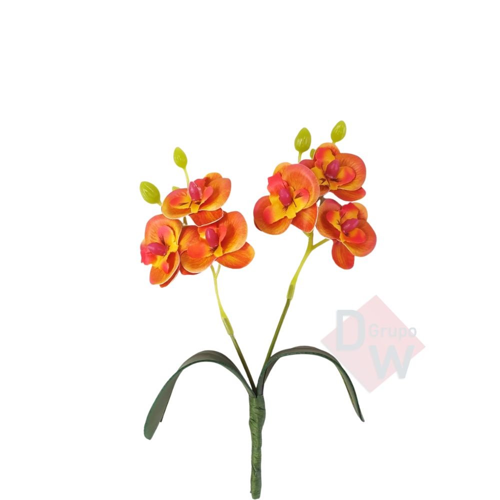 Mini Orquidea:orquídea Alaranjada