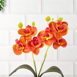 Mini Orquidea:orquídea Alaranjada - 3