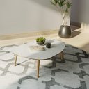 Ver imagem 1 de Mesa de Centro Orgânica 120cm com Pés de Madeira Off White/ Freijó - Dalla Costa