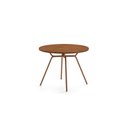 Ver imagem 1 de Mesa de Sala Jantar 1588 Aço C/tampo Madeirado 100cm Freijo C/ Rose - Carraro