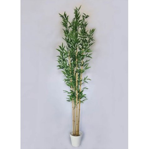 Planta Árvore Artificial Real Toque Bambu 2,11M