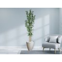 Ver imagem 3 de Planta Árvore Artificial Real Toque Bambu 2,11M
