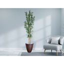 Ver imagem 2 de Planta Árvore Artificial Real Toque Bambu 2,11M
