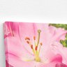 Quadro Açucena Lilium Candidum Rosa Flor Canvas 100x70cm - 3