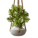 Ver imagem 4 de 9 Unidades Planta Artificial Realista Filodendro Xanadu Premium para Decoração de Vaso e Projetos